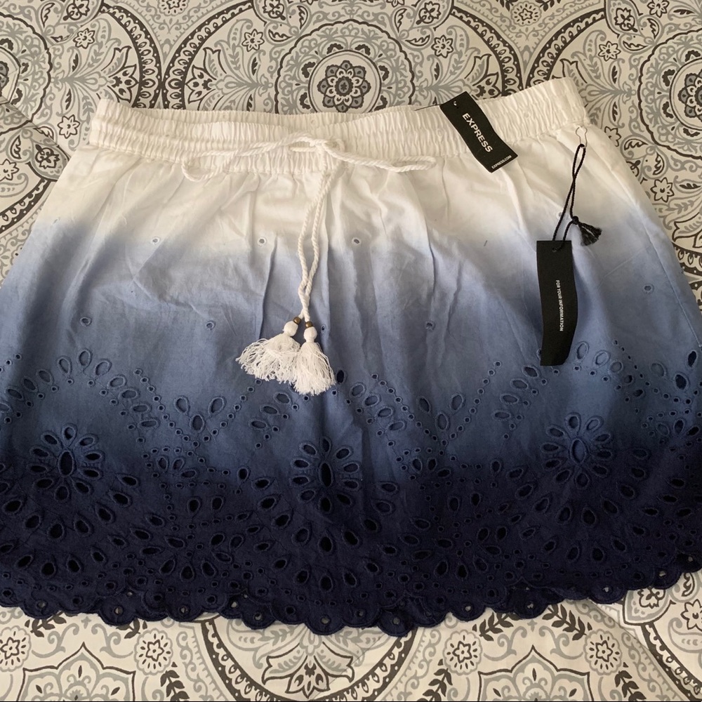 Express Gorgeous Skirt